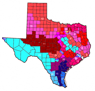 Texas2012districts
