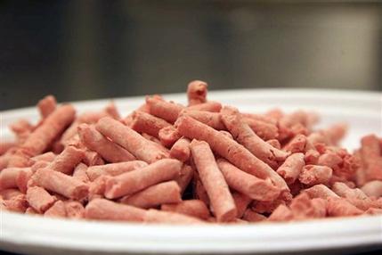 Pink Slime Debate