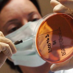 Vietnam asks WHO to help identify killer disease