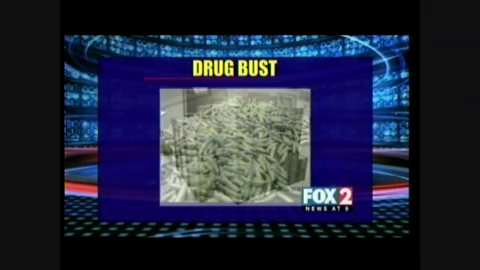 Officials Find Drugs Concealed under Cucumbers and Cactus