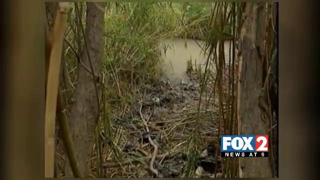 Investigation into Alleged Border Patrol Shooting