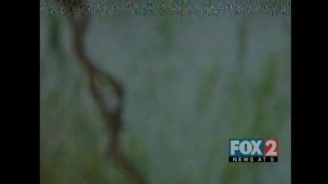Border Shooting Targets US Federal Agents