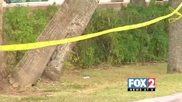 Body found near UT-Brownsville Campus