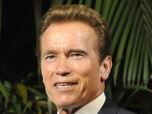 ap-books-schwarzenegger-x-large