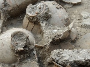 Ancient wine cellar reveals a sophisticated drink item-thumbnail