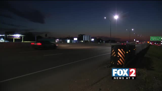 New Lights Illuminating Palmview item-thumbnail