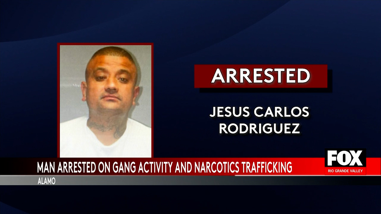 Donna Man Arrested for Gang Activity and Drug Trafficking in Multi-Agency Operation