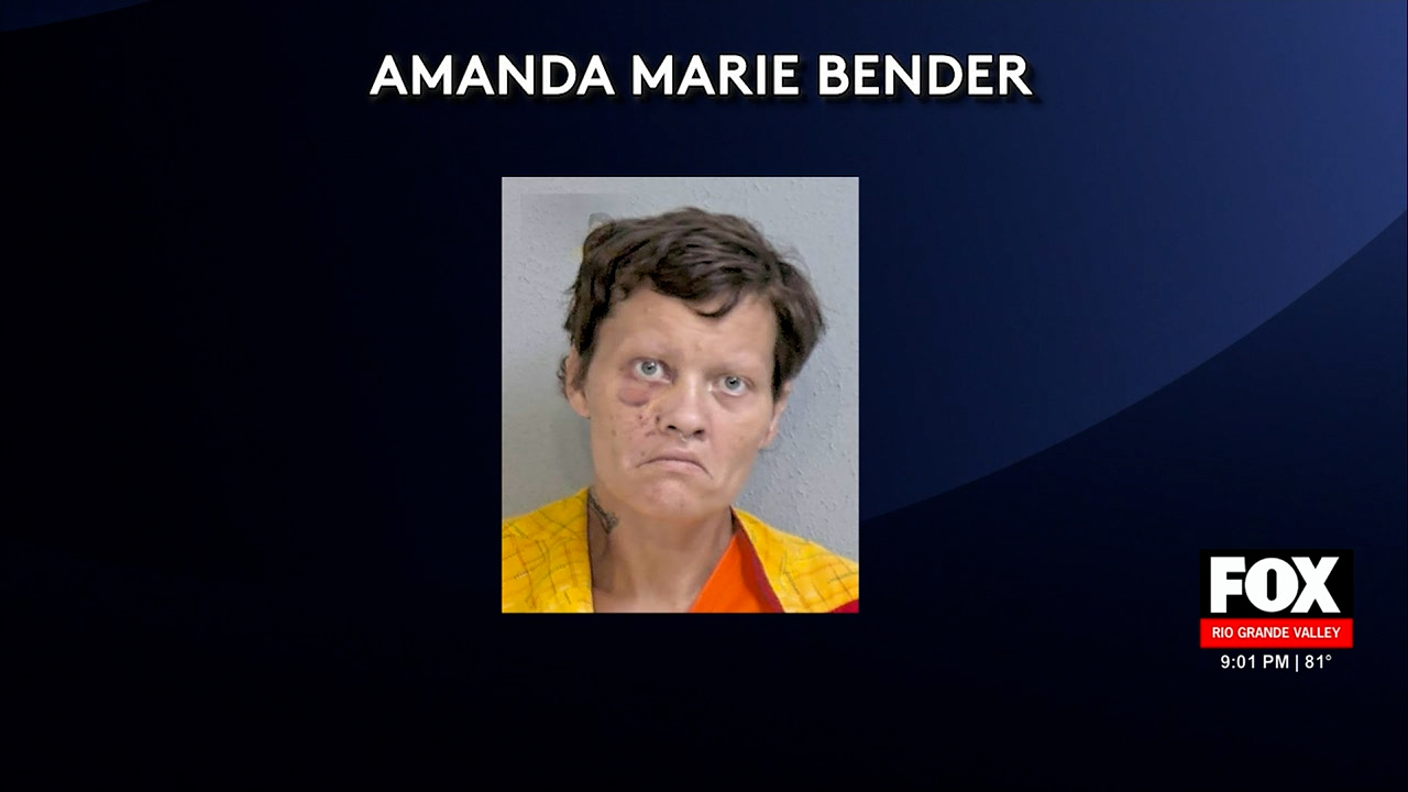 Crash Tragedy: Illinois Woman Gets 20 Years for Fatal Edinburg Wreck