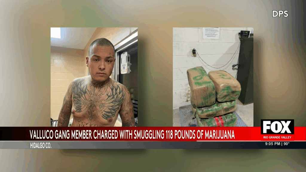Drug Bust: 118 Pounds of Marijuana Seized from Gang Member in Mercedes