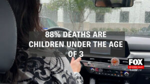 Tragic Hot Car Deaths: 5 Children Lost in 8 Days Across U.S. -