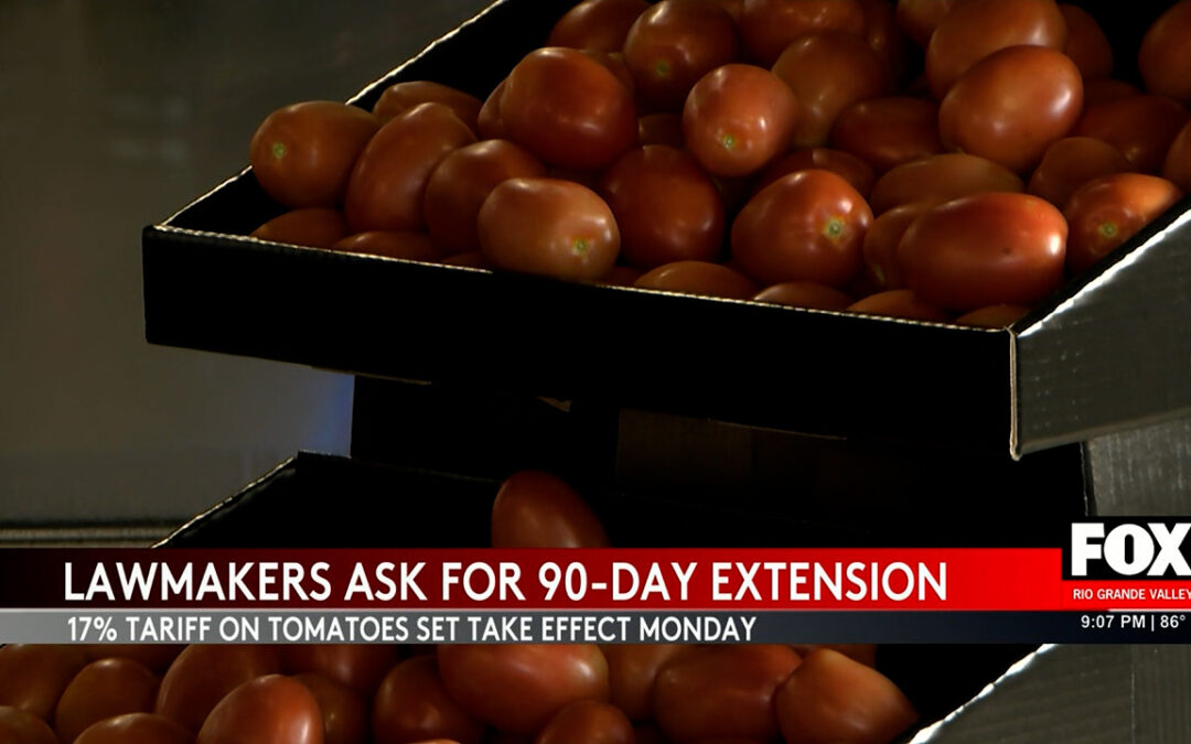 Tomato Tariff Turmoil: Lawmakers Push for Crucial 90-Day Extension
