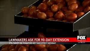 Tomato Tariff Turmoil: Lawmakers Push for Crucial 90-Day Extension -
