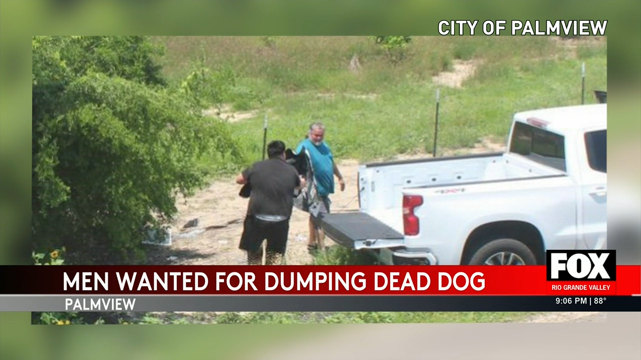 Animal Cruelty Caught on Camera in Palm View Sparks Outrage