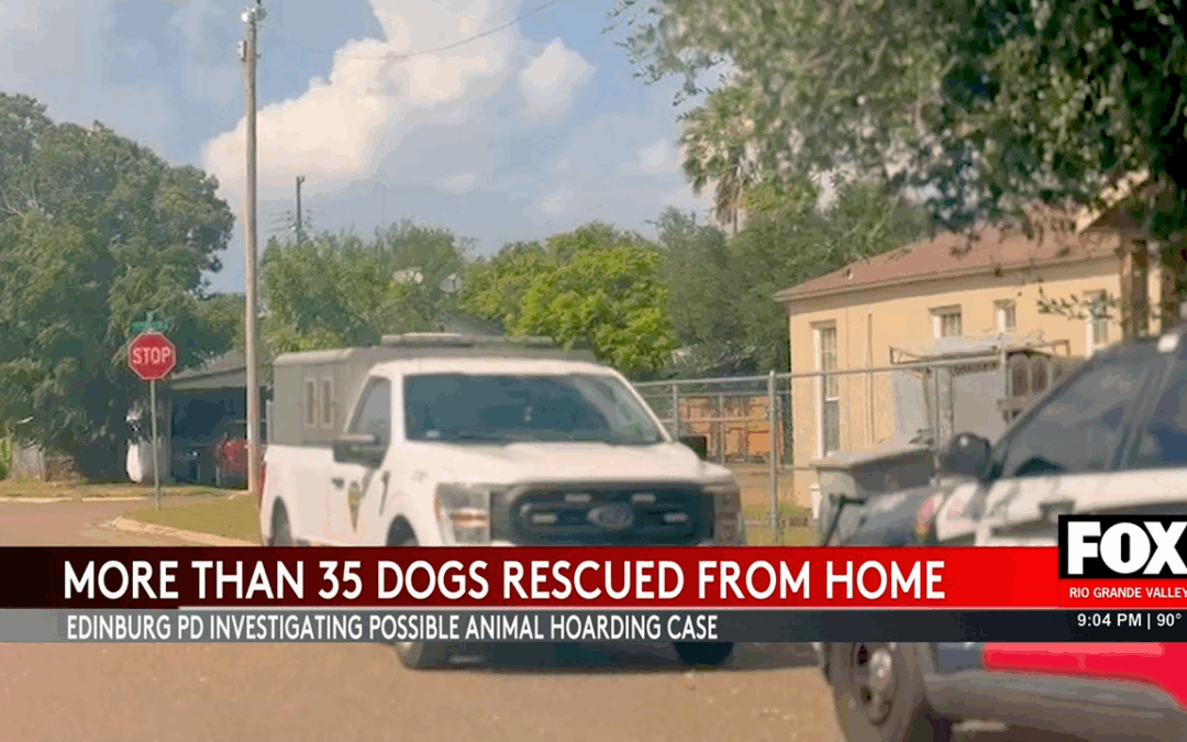 Edinburg Police Investigate Possible Animal Hoarding Case