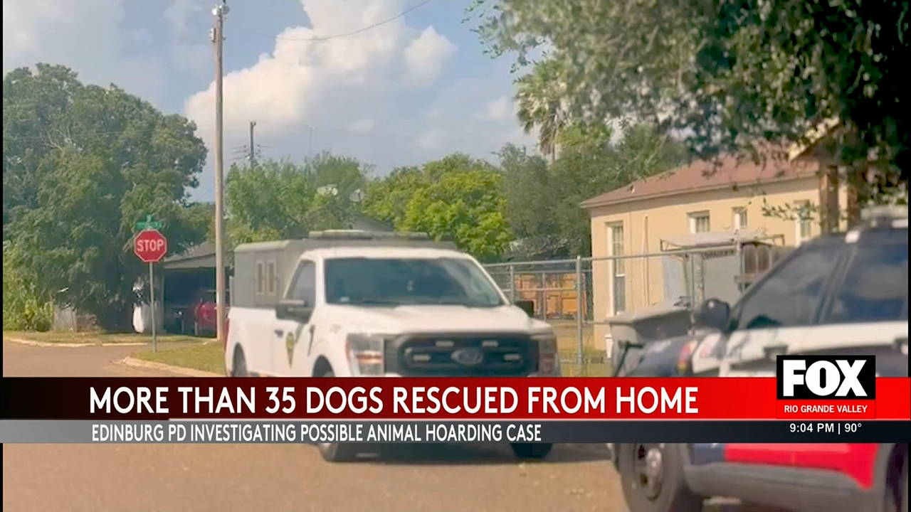 Edinburg Police Investigate Possible Animal Hoarding Case