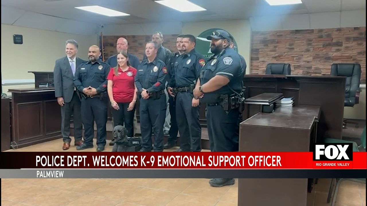 K9 Jean Joins Palm View Police as Emotional Support Canine