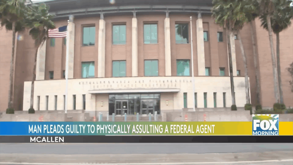 South Texas Teen Faces Federal Charges for Shocking Assault on ICE Agent