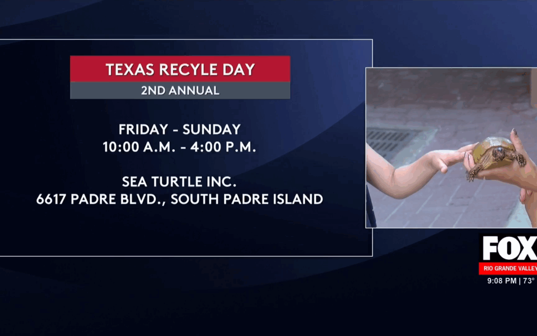 Sea Turtle Inc’s Shocking Partnership with HEB for Texas Recycle Day