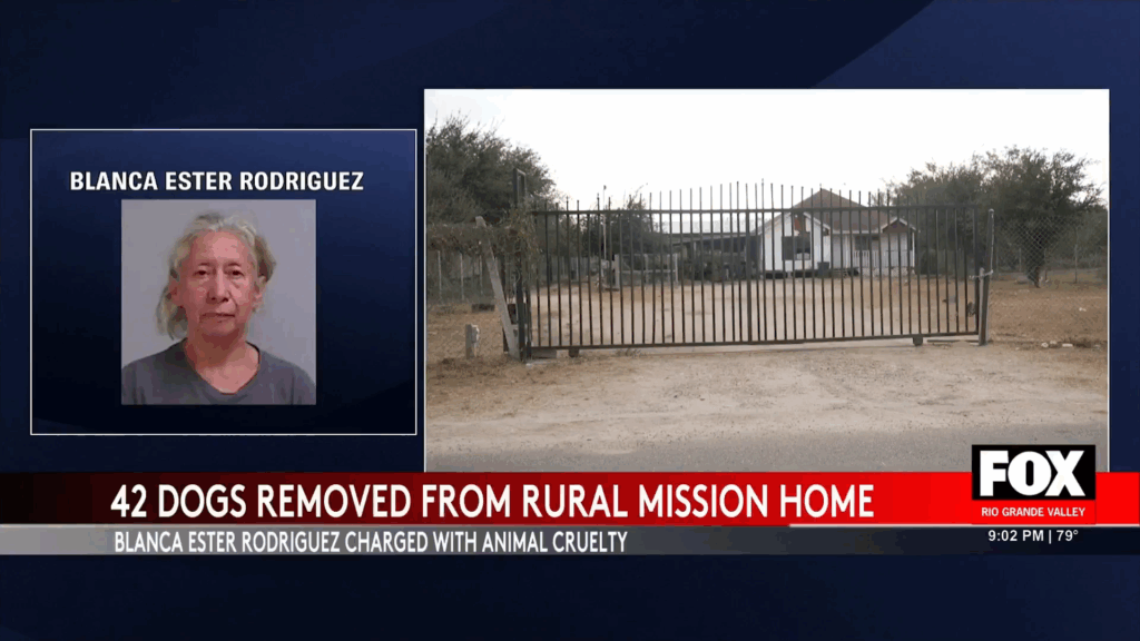 Shocking Animal Cruelty: 42 Dogs Rescued from Mission Home