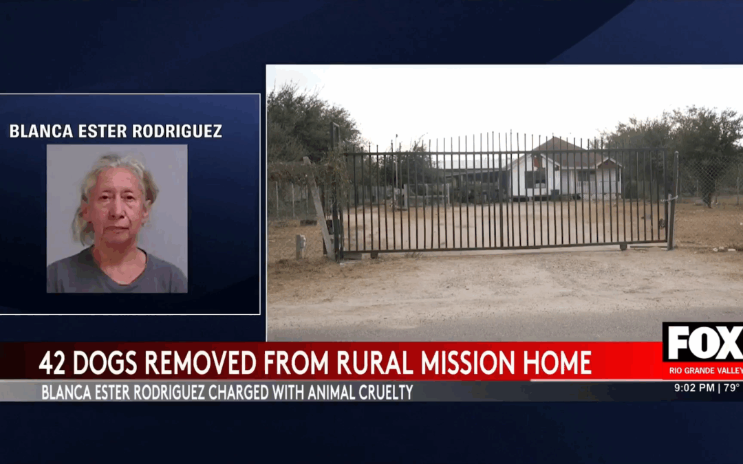 Animal Cruelty: 42 Dogs Rescued from Mission Home