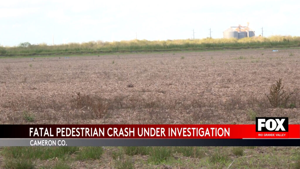 Shocking San Benito Accident: Elderly Woman Struck and Killed on State Highway 345