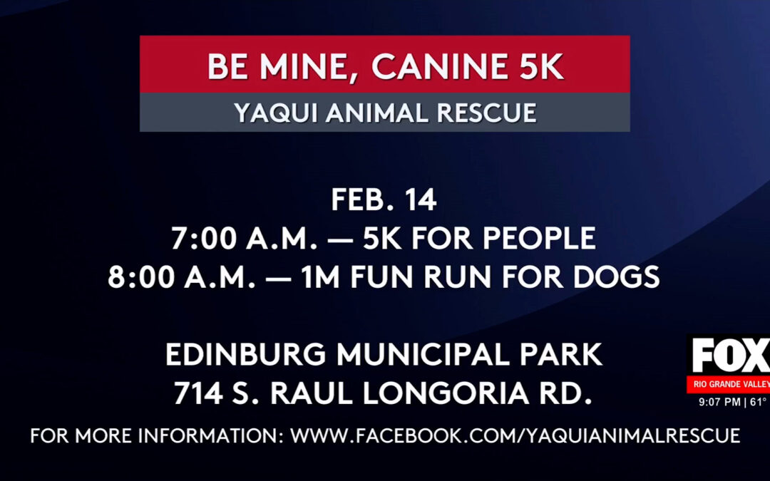 Valentine’s Day Run for Yaqui Animal Rescue Shines Light on Animal Cruelty Awareness