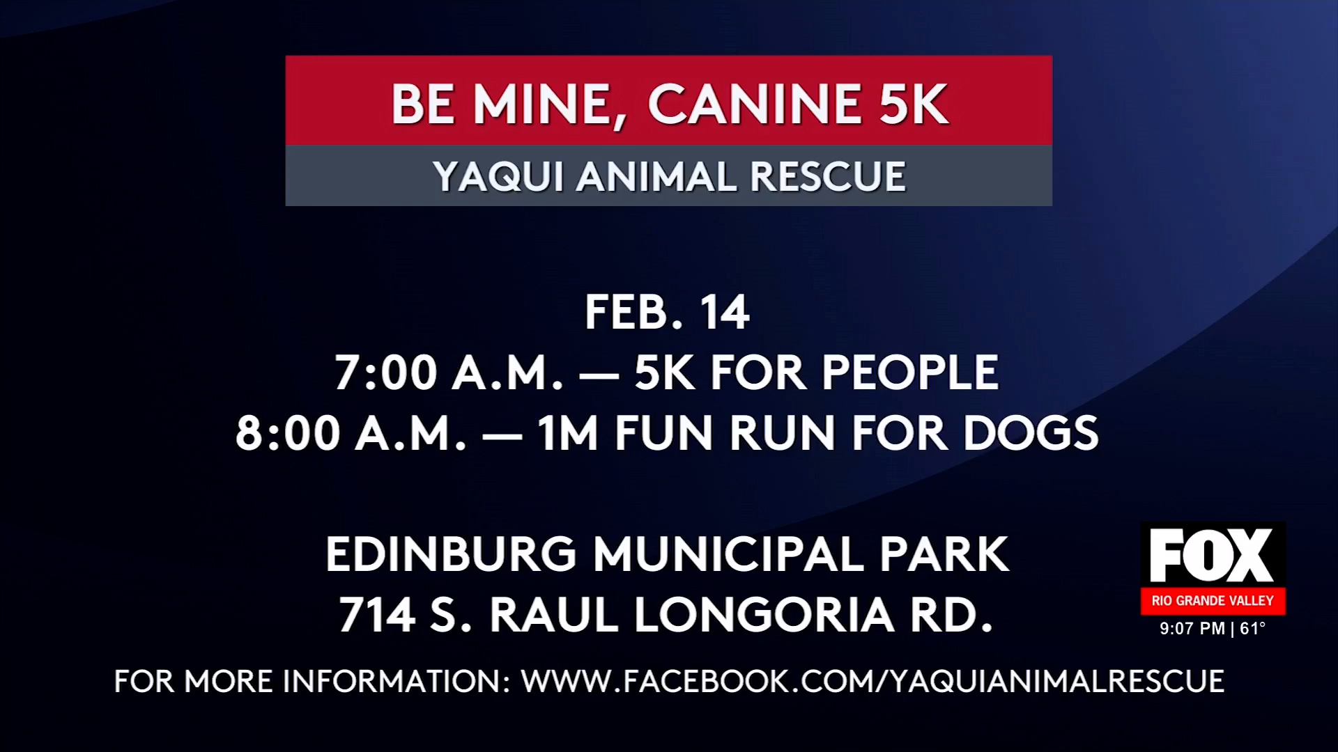 Valentine’s Day Run for Yaqui Animal Rescue Shines Light on Animal Cruelty Awareness