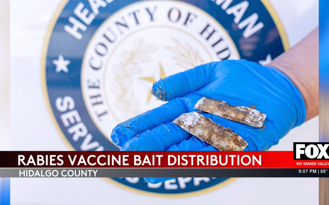 Rabies Vaccination Breakthrough: Hidalgo County’s Bold Move to Protect Wildlife and Residents