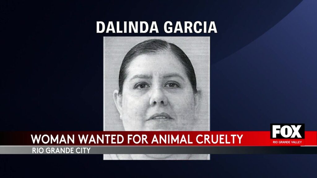 Animal Cruelty Charges In Rio Grande City Rio Grande City