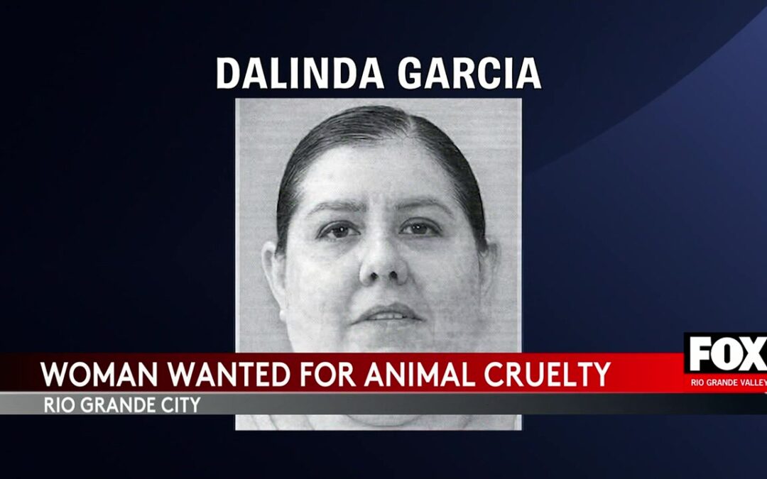 Animal Cruelty Charges In Rio Grande City