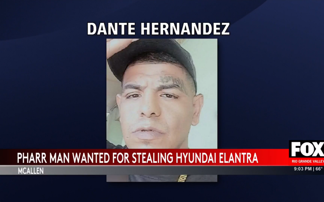 Dante Hernandez: Details Emerge in McAllen’s Latest Hyundai Elantra Theft