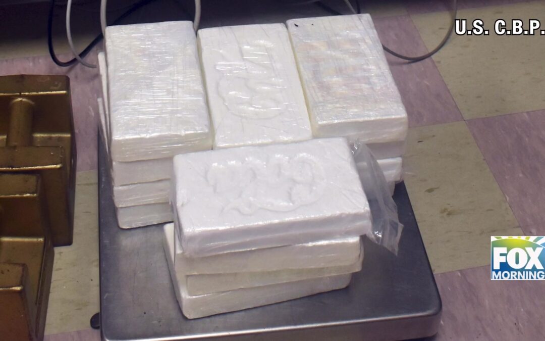 Massive Drug Bust At Brownsville Bridge