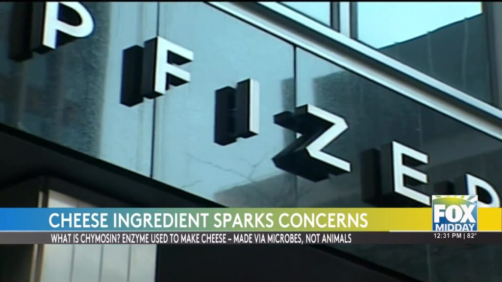 Debate Sparks Over Enzyme Use In Cheese Production cheese