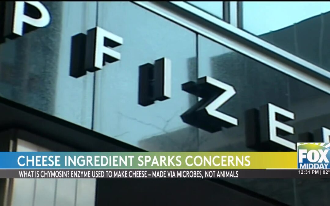 Debate Sparks Over Enzyme Use In Cheese Production