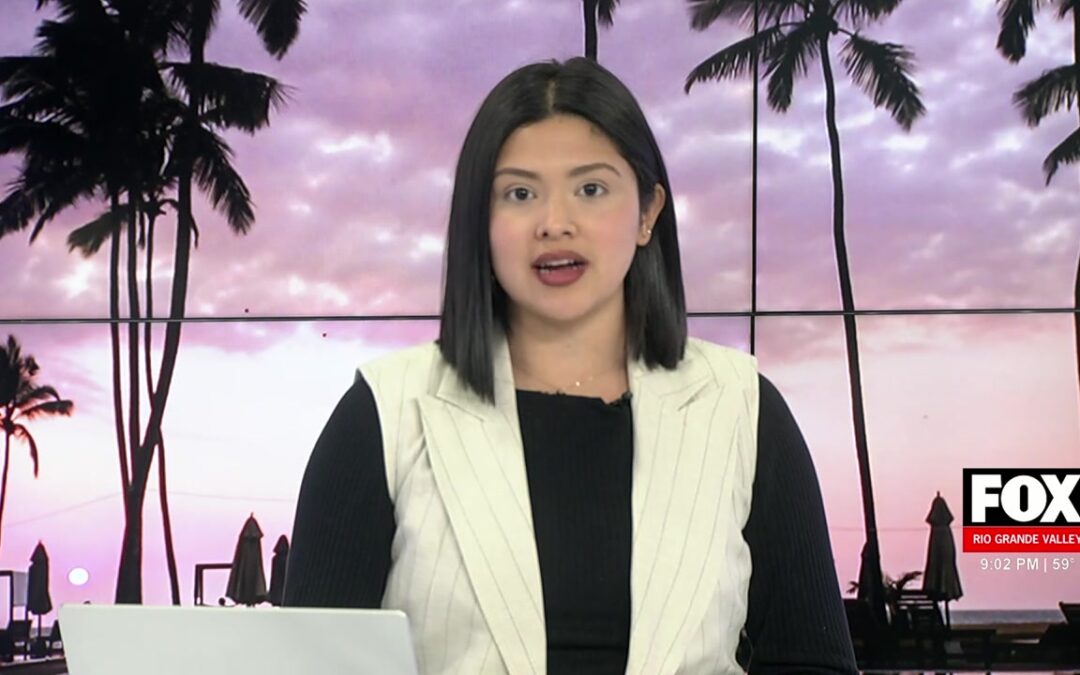 Brownsville Car Crash: Fatal Car Crash Investigation In Brownsville