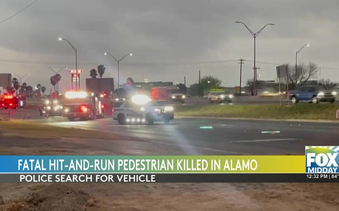 Fatal Hit-and-Run Sparks Search In Alamo