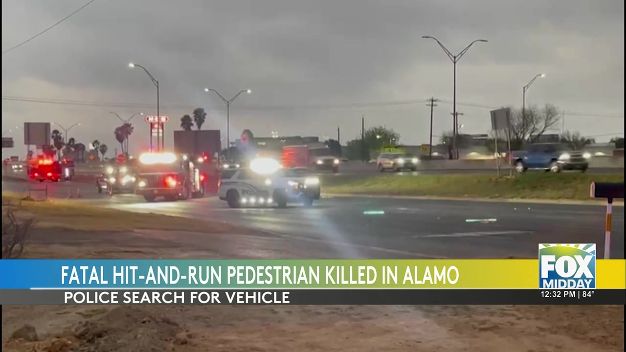 Fatal Hit-and-Run Sparks Search In Alamo