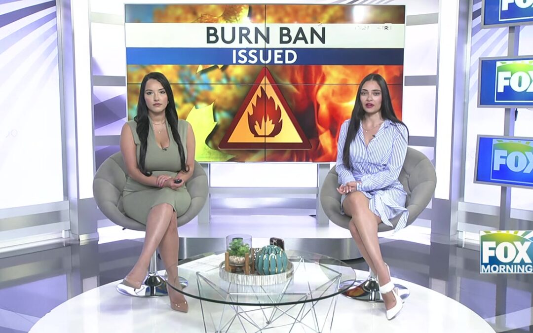 Cameron County Implements Burn Ban Amid Weather Concerns