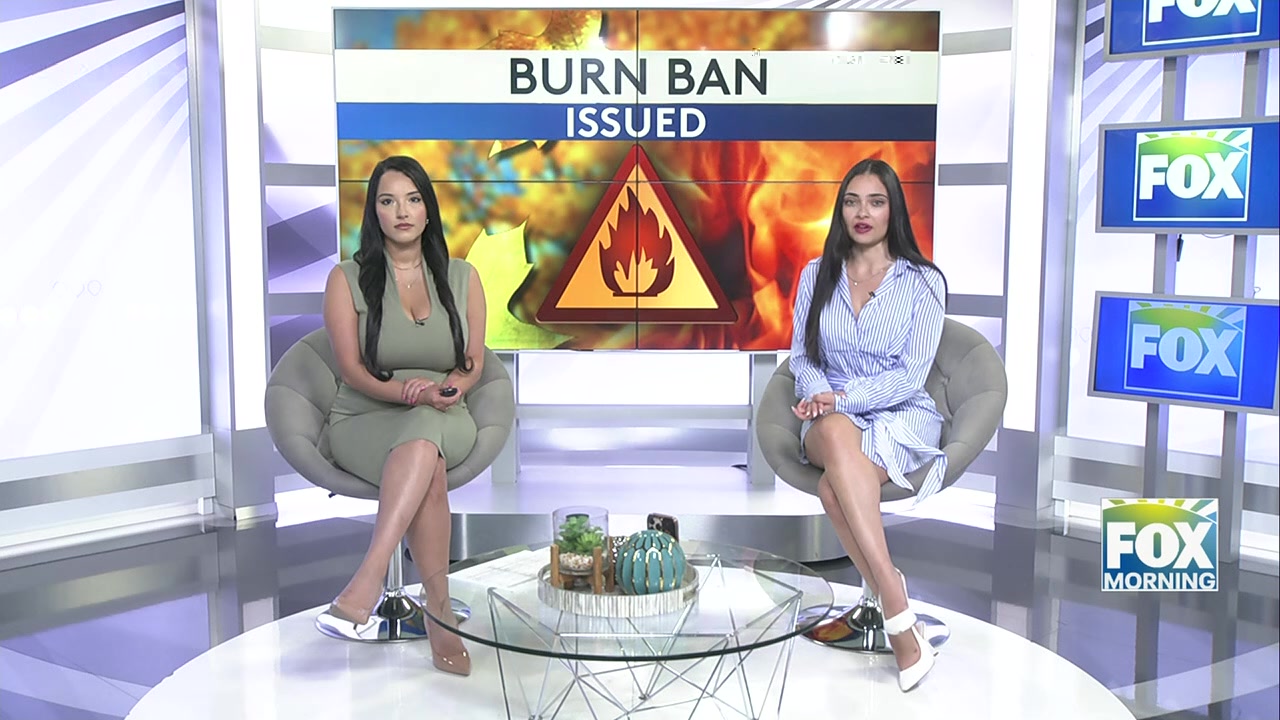 Cameron County Implements Burn Ban Amid Weather Concerns