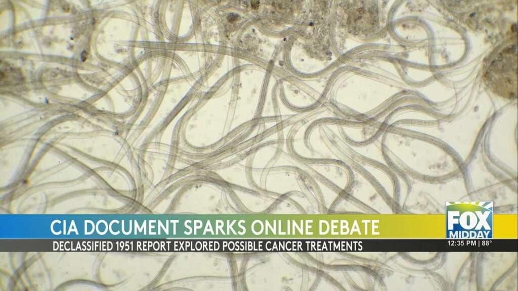 Resurfaced CIA Document Sparks Debate Over Cancer Treatment Claims CIA document