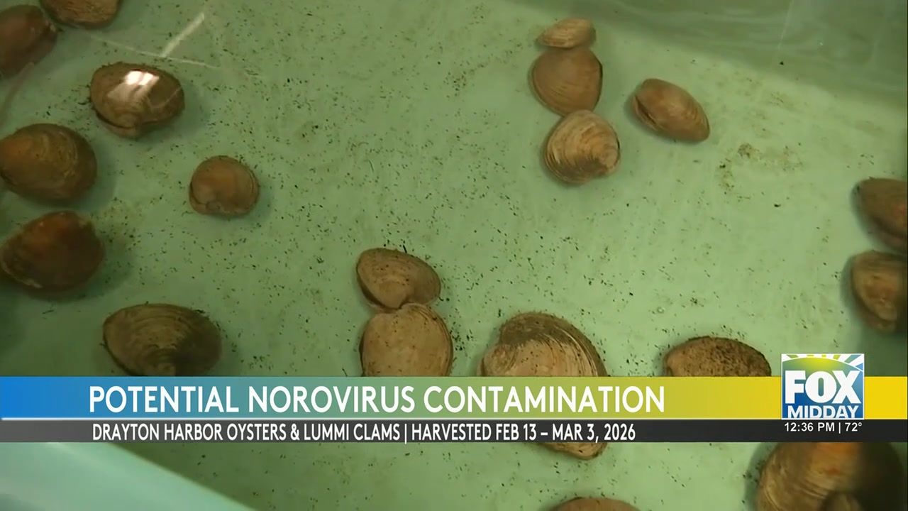 Health Alert: Shellfish Recall Due To Norovirus