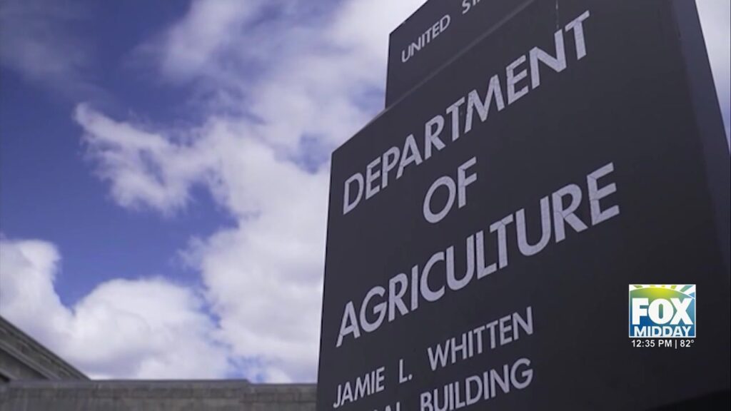 SNAP Benefits: New Restrictions For Texas SNAP Purchases SNAP benefits