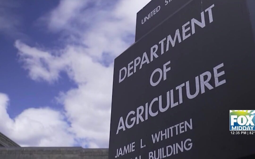 SNAP Benefits: New Restrictions For Texas SNAP Purchases