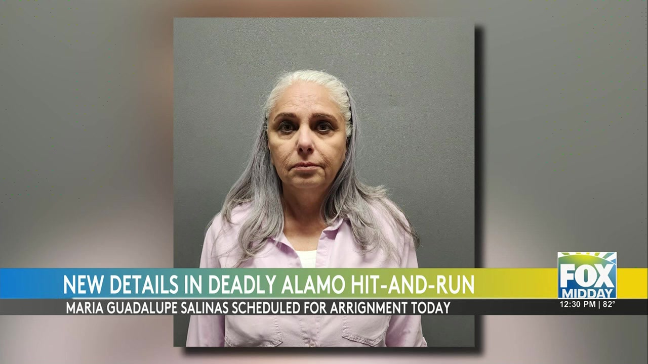 Vehicle Passenger Charged In Alamo Pedestrian Incident