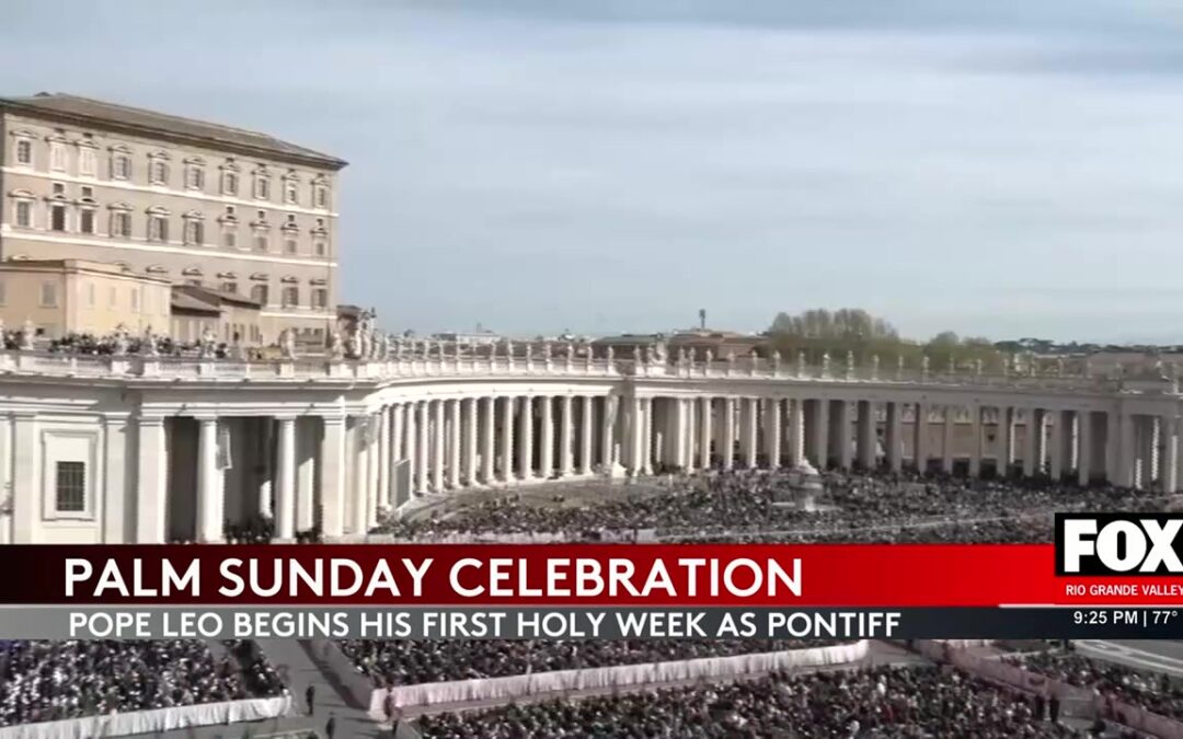 Pope Leo Celebrates First Palm Sunday As Pontiff