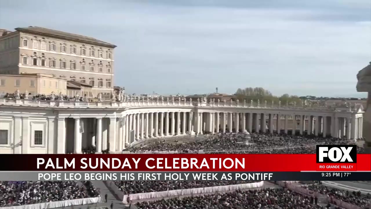 Pope Leo Celebrates First Palm Sunday As Pontiff