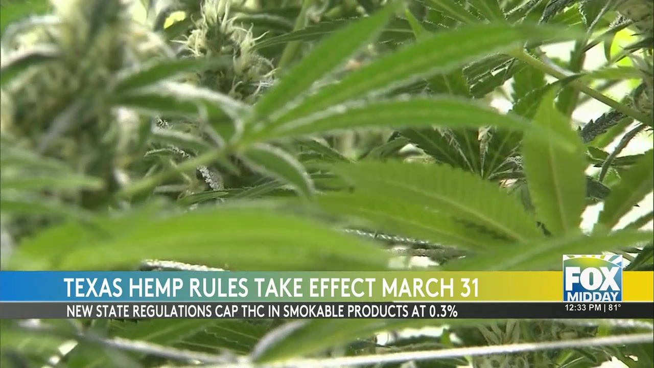 Texas Poised To Enforce Stricter THC Regulations
