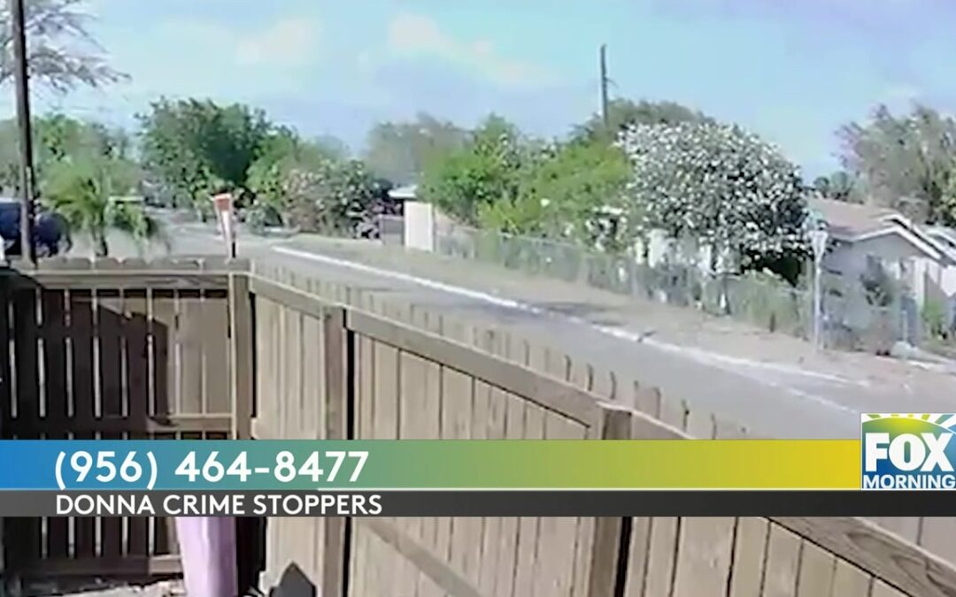 Search For Suspect In Donna Shooting