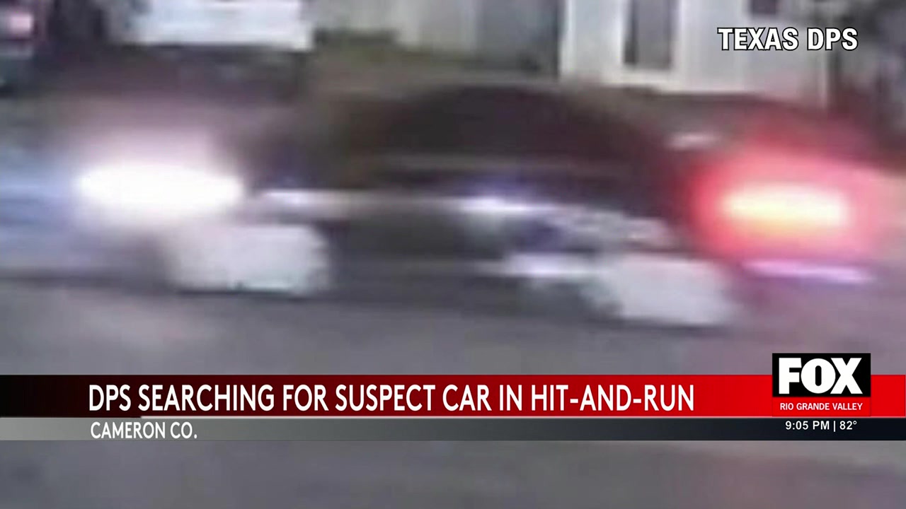 Laguna Heights Hit-and-Run Probe Ongoing