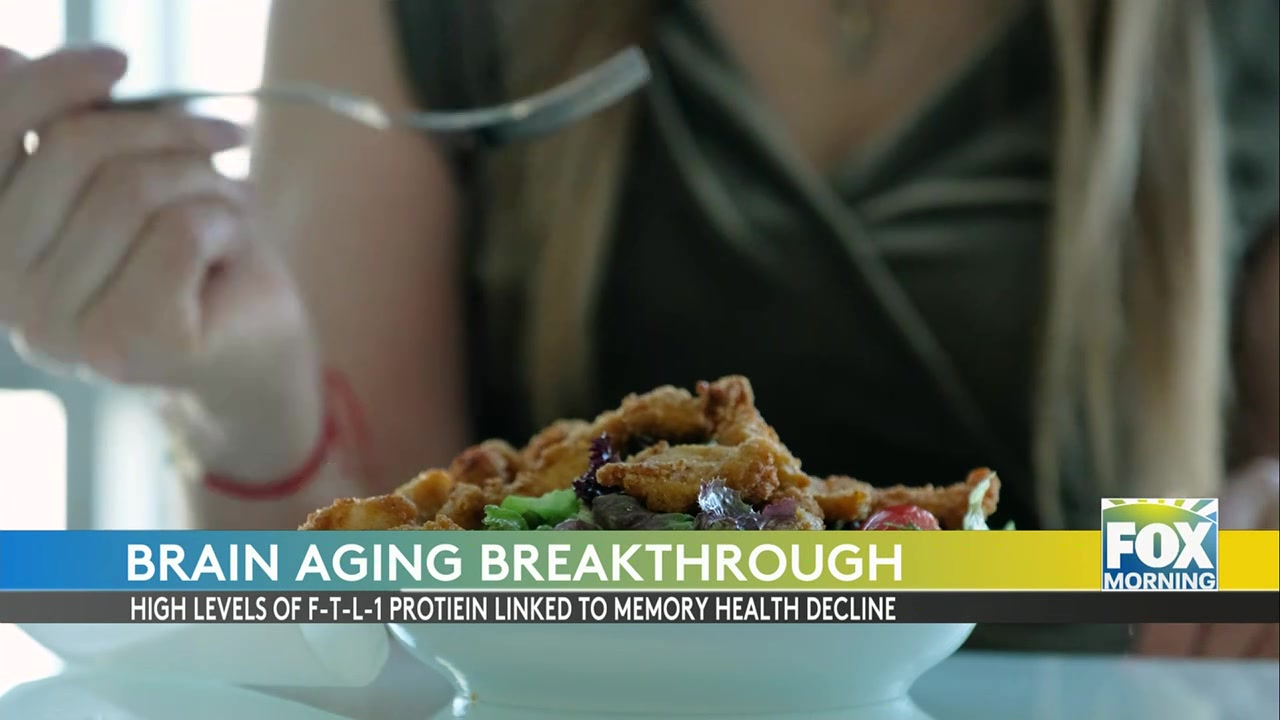 Exploring New Frontiers In Brain Aging Reversal Research
